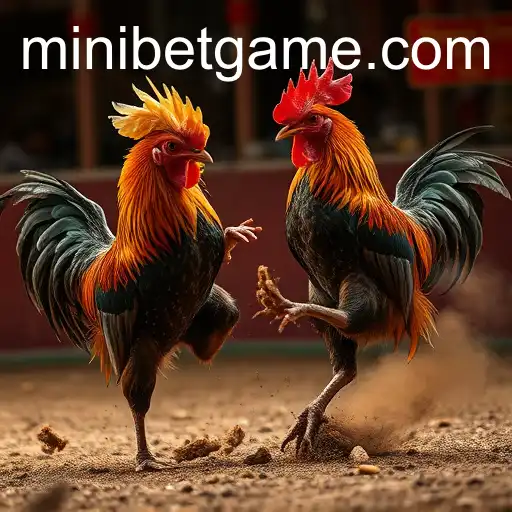 The Evolution of Online Sabong: Introducing MINIBET